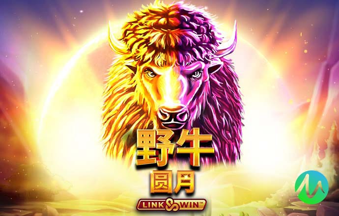 四肖三肖必开期期准精准